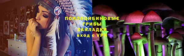apvp Армянск