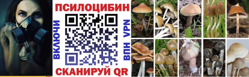 кракен рабочий сайт  цена наркотик  Нерехта  Галлюциногенные грибы Psilocybe 