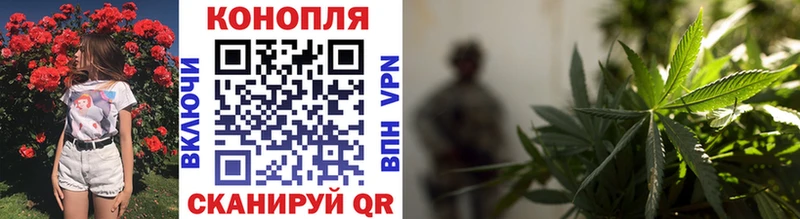 Марихуана сатива  Нерехта 